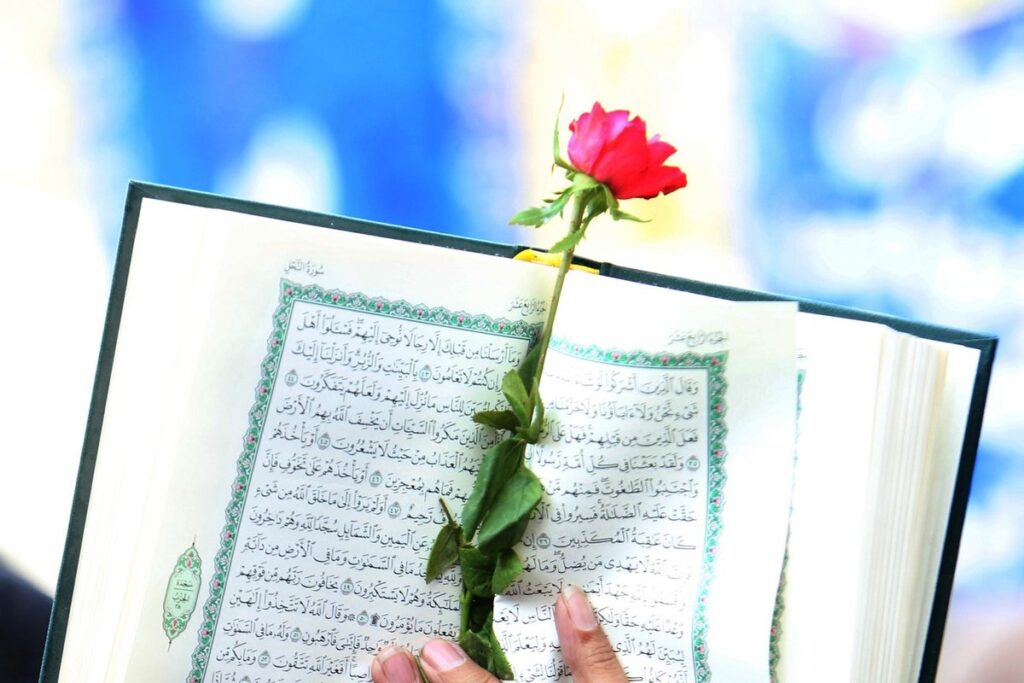 Importance of understanding quran