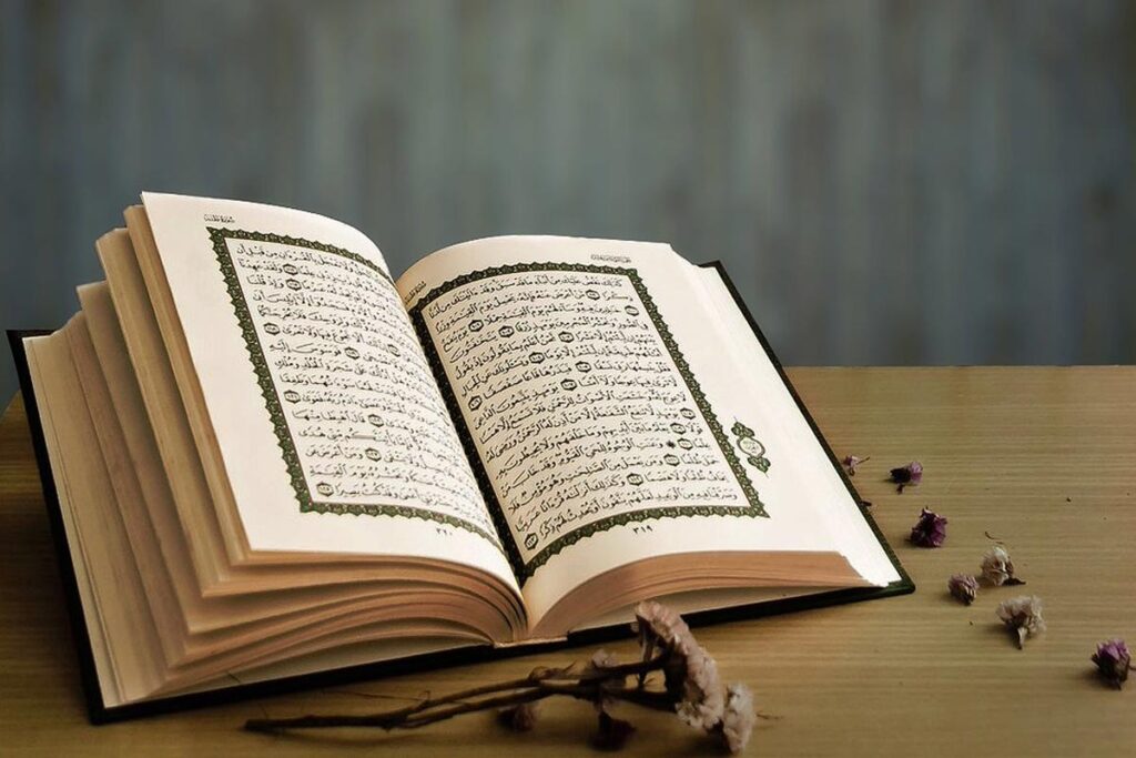 learn quran tajwid