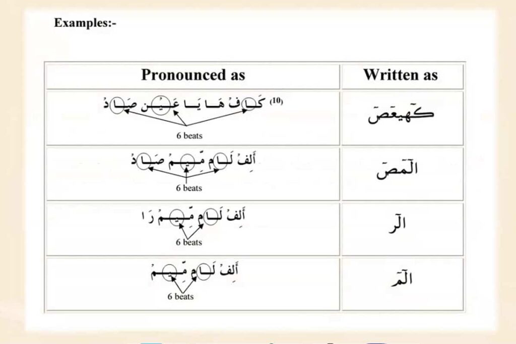 tajweed rules for beginners