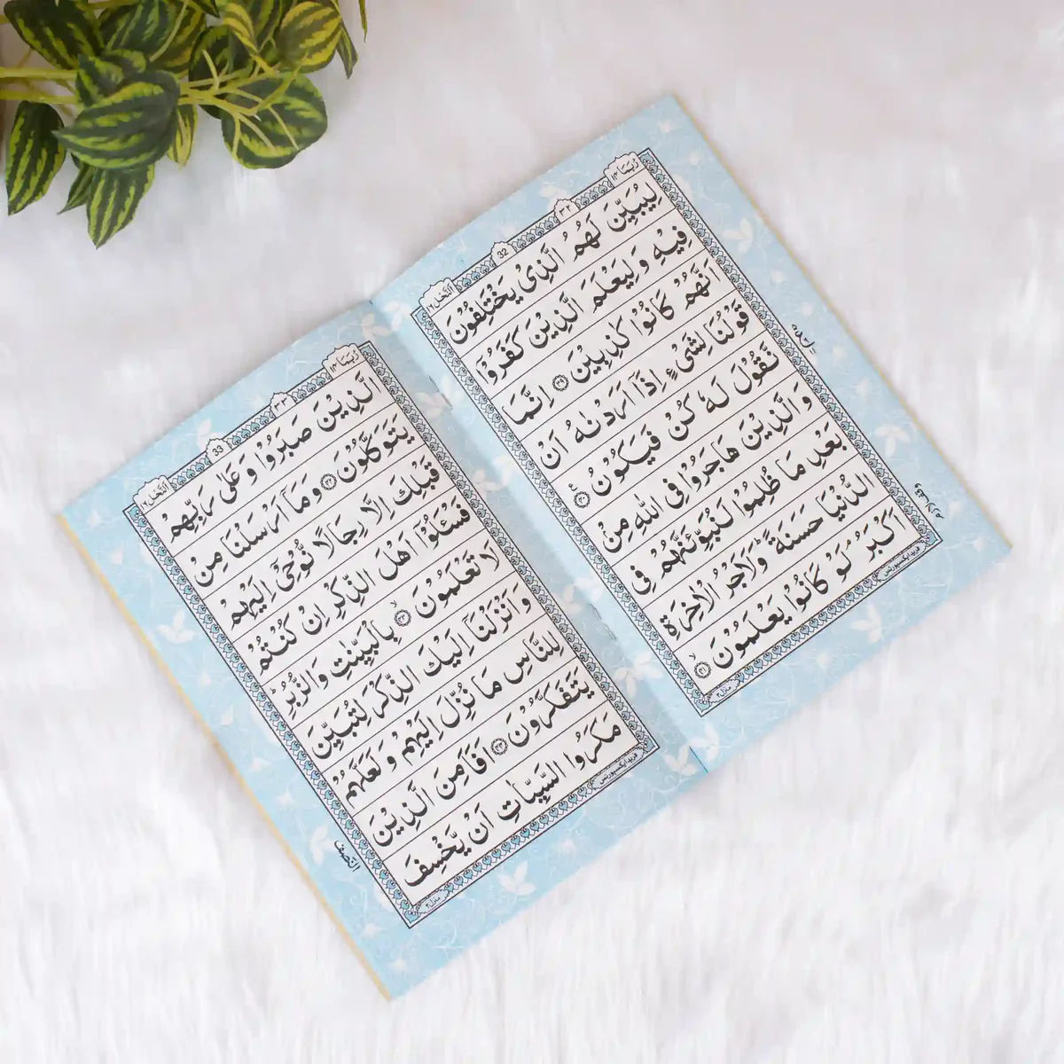 Quran basics for adults