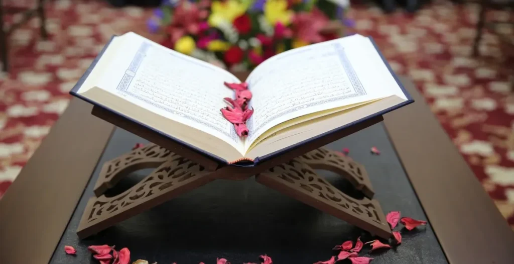 Quran mastery program