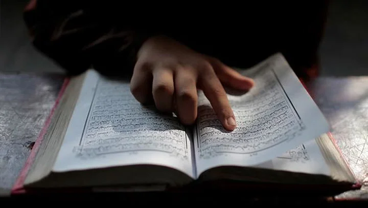 Quran tutoring