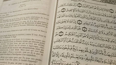 Quran translation course